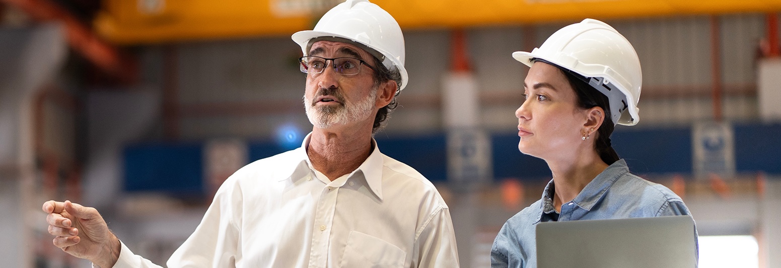 Two engineers managing a project